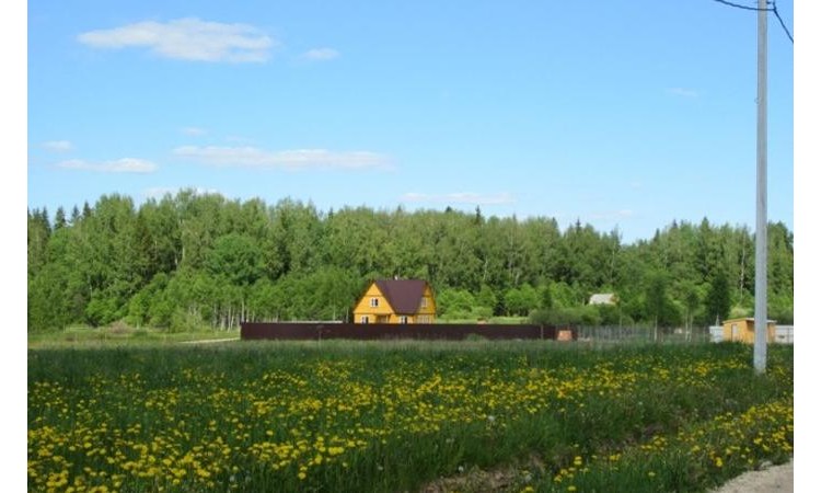 Лесное 1