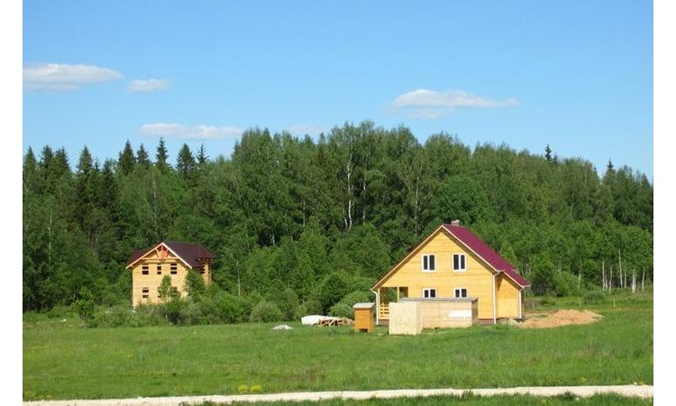 Лесное 1