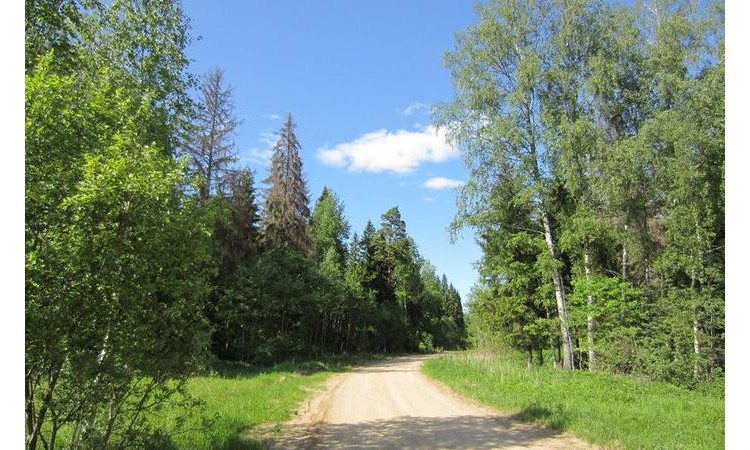 Лесное-Стрешнево
