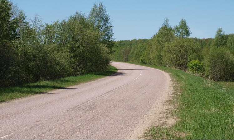 Лесной