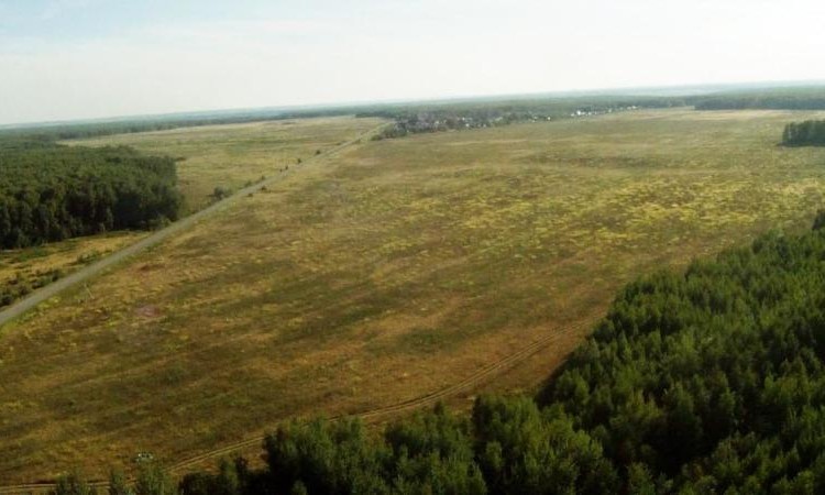 Лесной край 2
