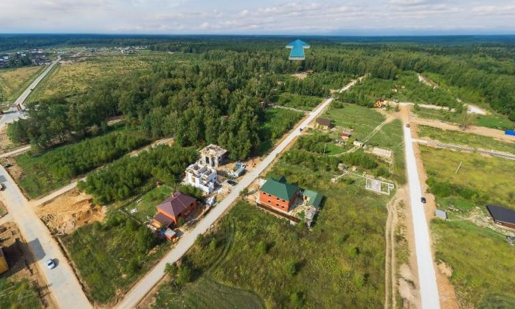Лесной пейзаж