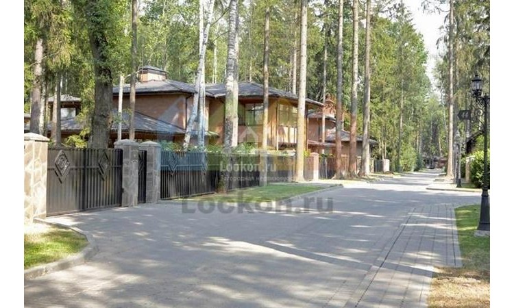 Лесной ручей