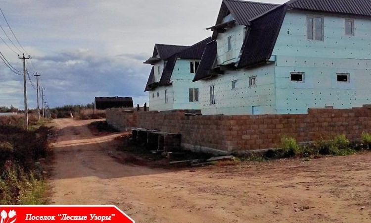 Лесные узоры