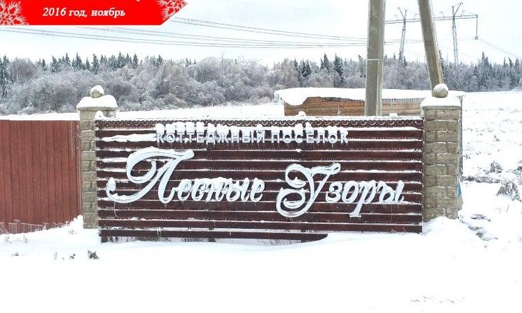 Лесные узоры