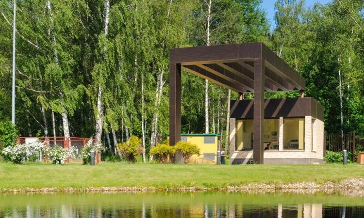 Лисичкин лес