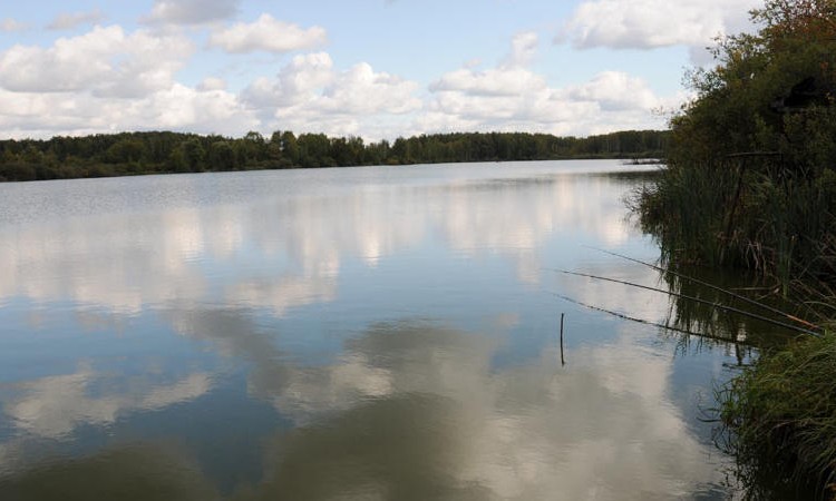 Лосиный парк 1, 2