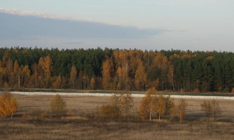 Малиновка Ленд