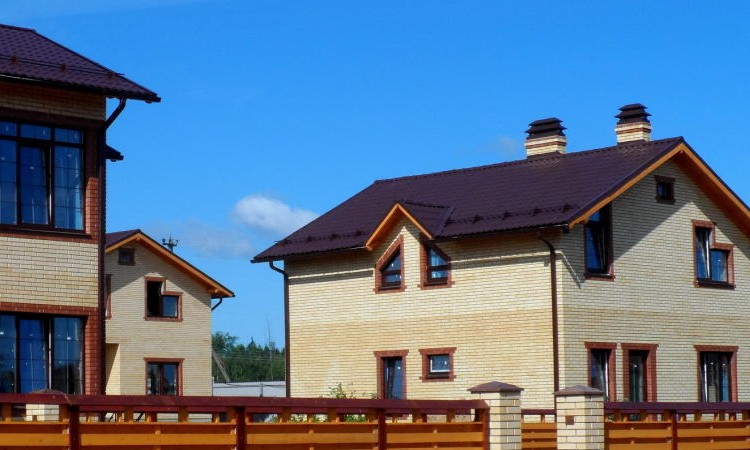 Мишкин лес