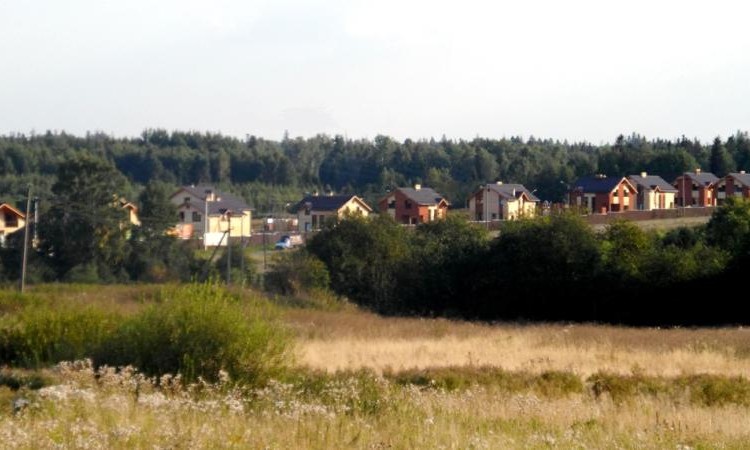 Мишкин лес