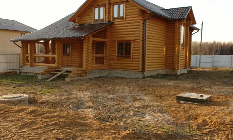 Мишкин лес