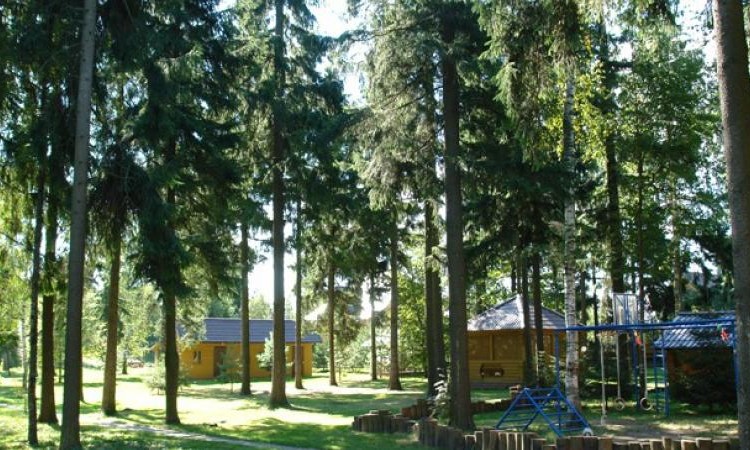 Мишкин лес