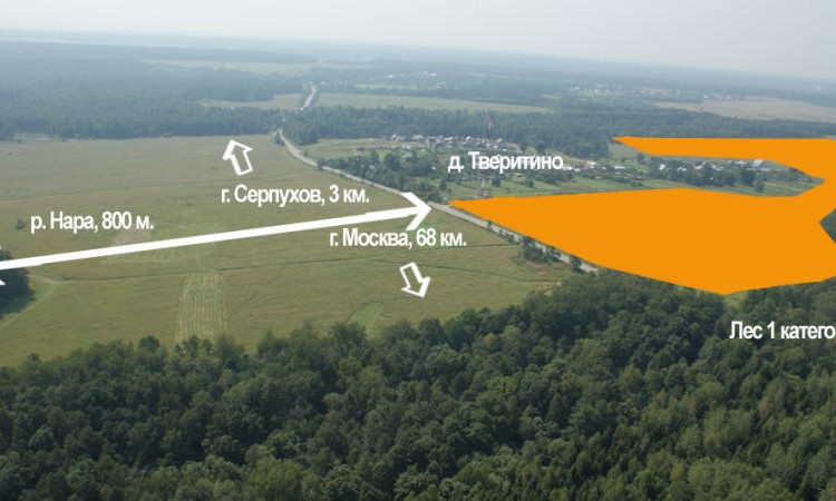 Незабудкино