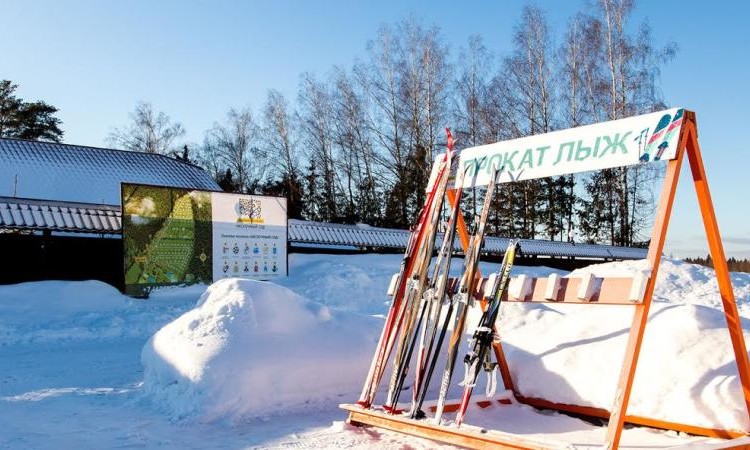 Нескучный сад