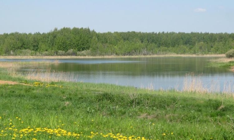 Никульское