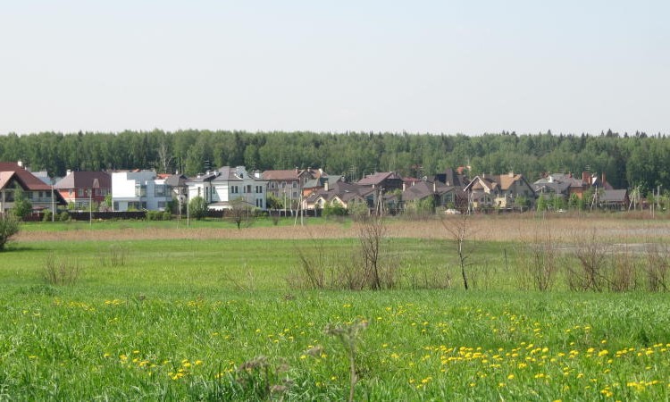 Никульское