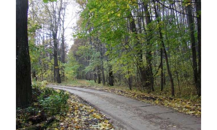 Новая деревня