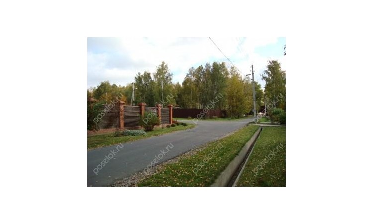 Новогорские березки