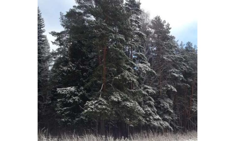 Новое Задорино