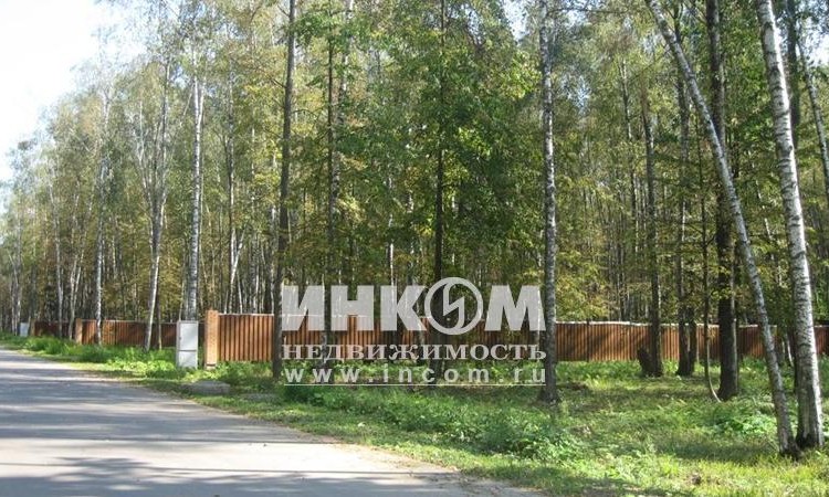 Оазис