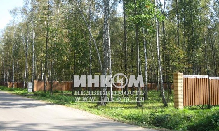 Оазис