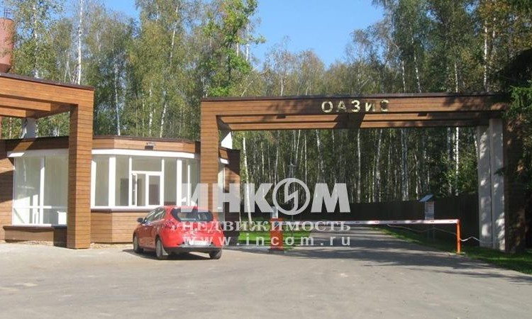 Оазис