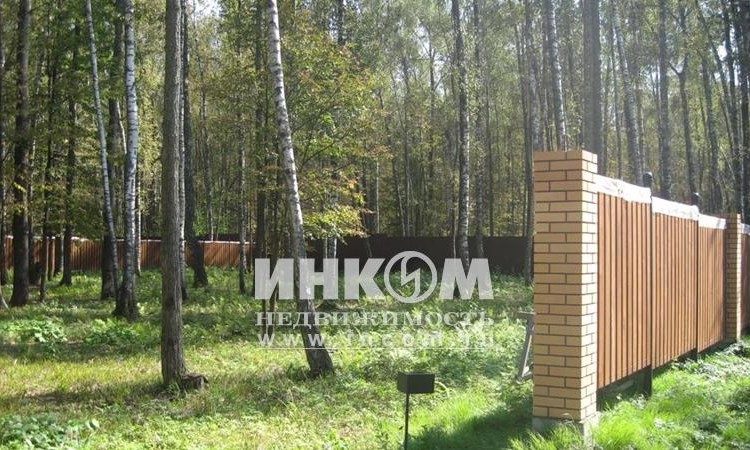 Оазис