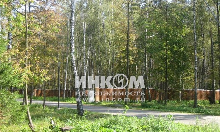 Оазис