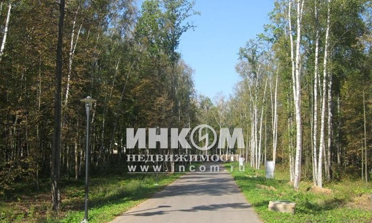 Оазис
