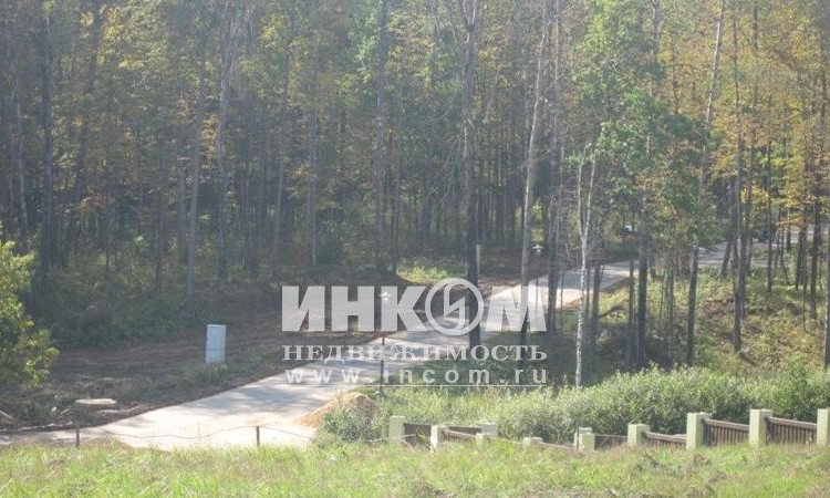 Оазис