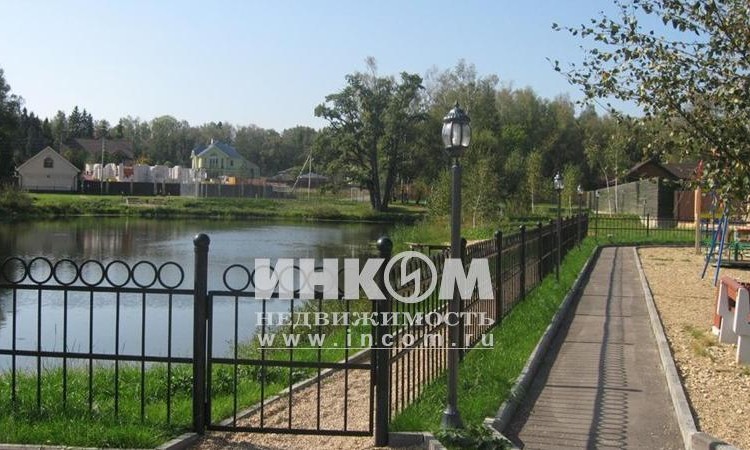 Оазис