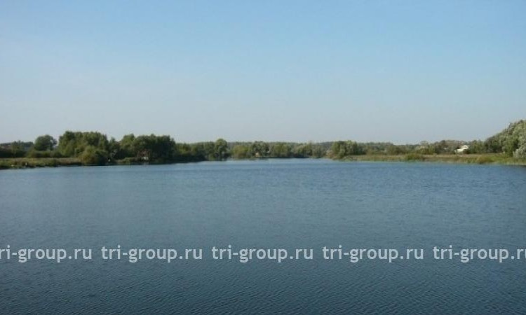Одуванчик