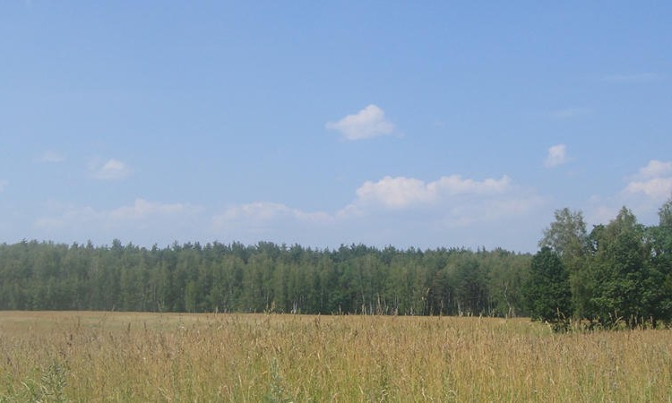 Озерный