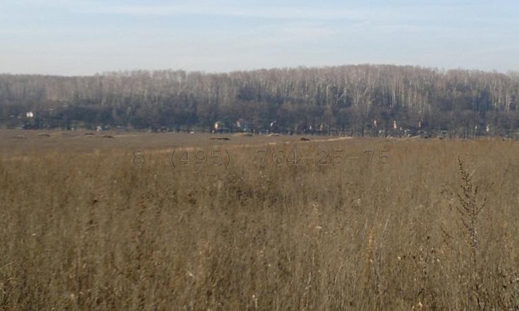 Остров (Айленд)
