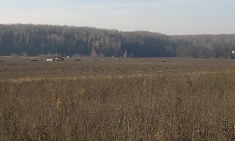 Остров (Айленд)