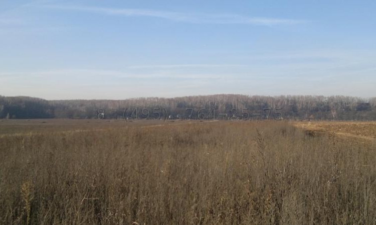 Остров (Айленд)