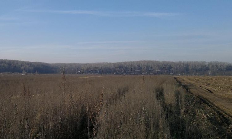 Остров (Айленд)