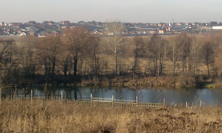 Остров (Айленд)