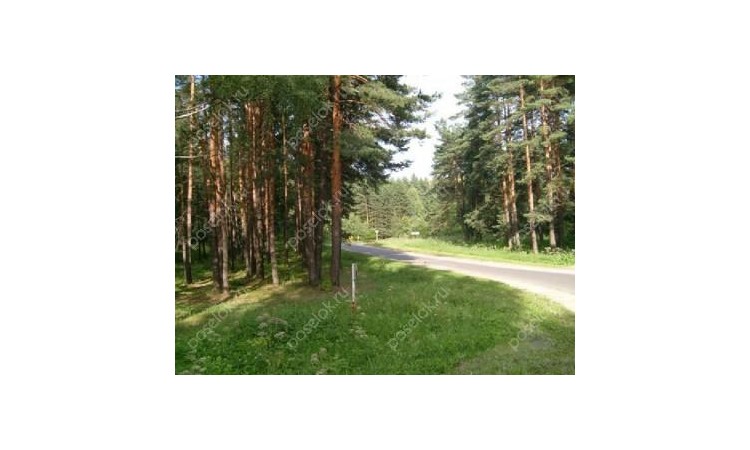Остров Витенево