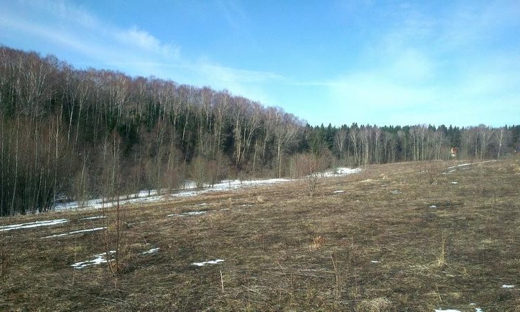 Панорама