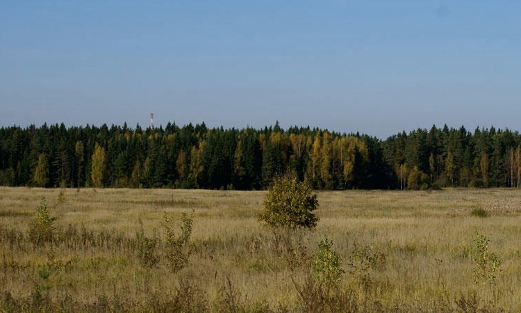 Пахомово