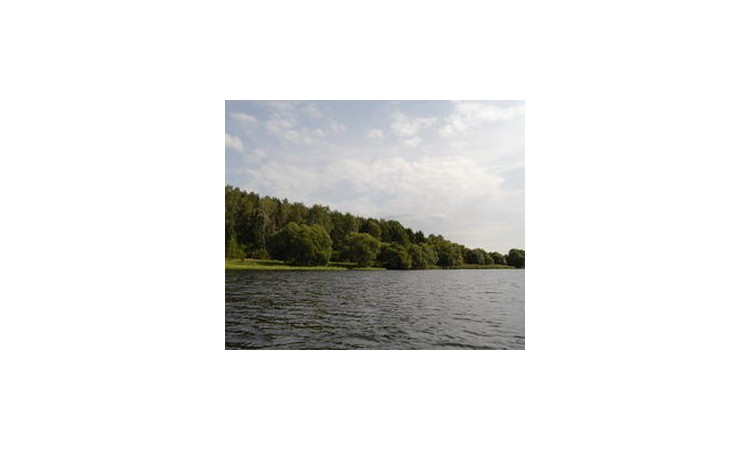 Пестовская гавань