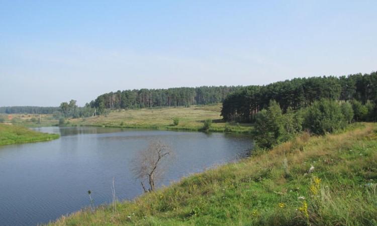 Петровский