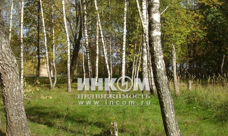 Петровский лес 1, 2