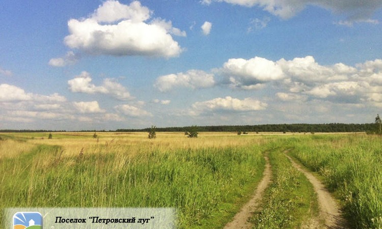 Петровский луг