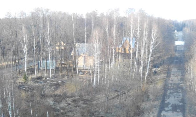 Плешкино