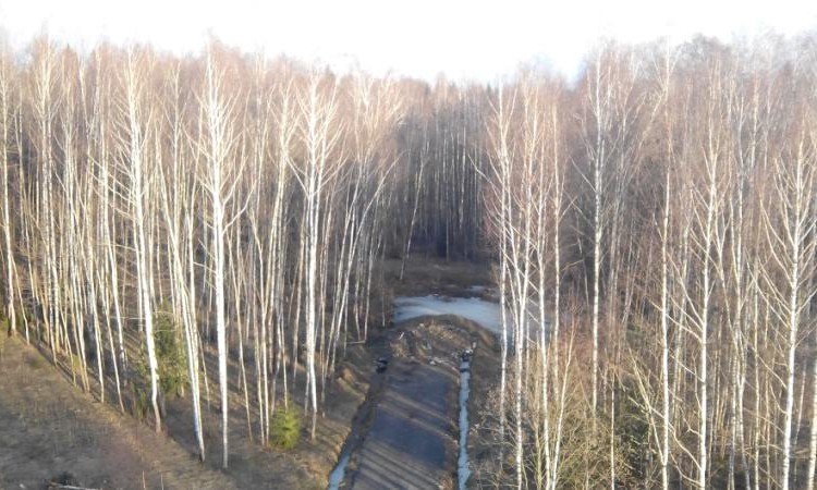 Плешкино