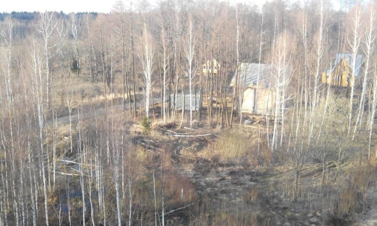 Плешкино