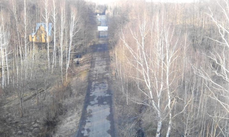Плешкино