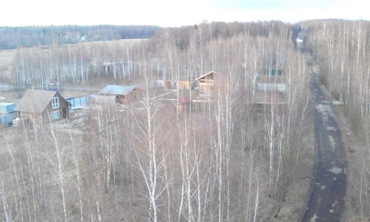 Плешкино